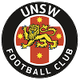 新南威尔士大学 logo